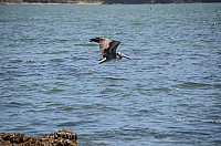 DSC_2792.JPG DSC_2792.JPG