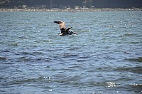 DSC_2794.JPG DSC_2794.JPG