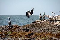 DSC_2798.JPG DSC_2798.JPG