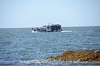 DSC_2806.JPG DSC_2806.JPG