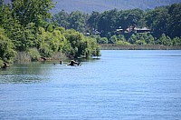 DSC_3063.JPG