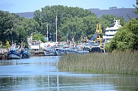 DSC_3075.JPG