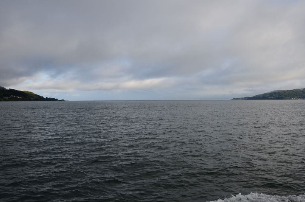DSC_3207.JPG