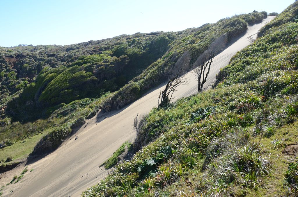 DSC_3293.JPG