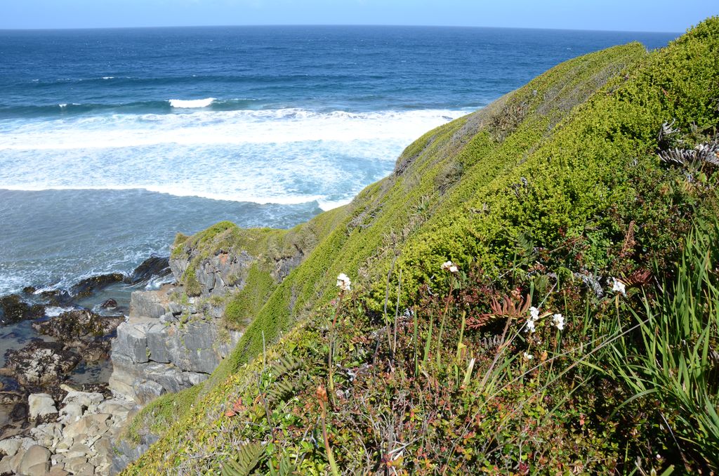 DSC_3303.JPG