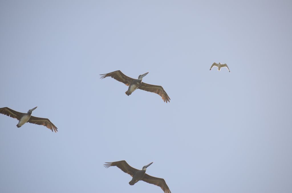 DSC_3315.JPG