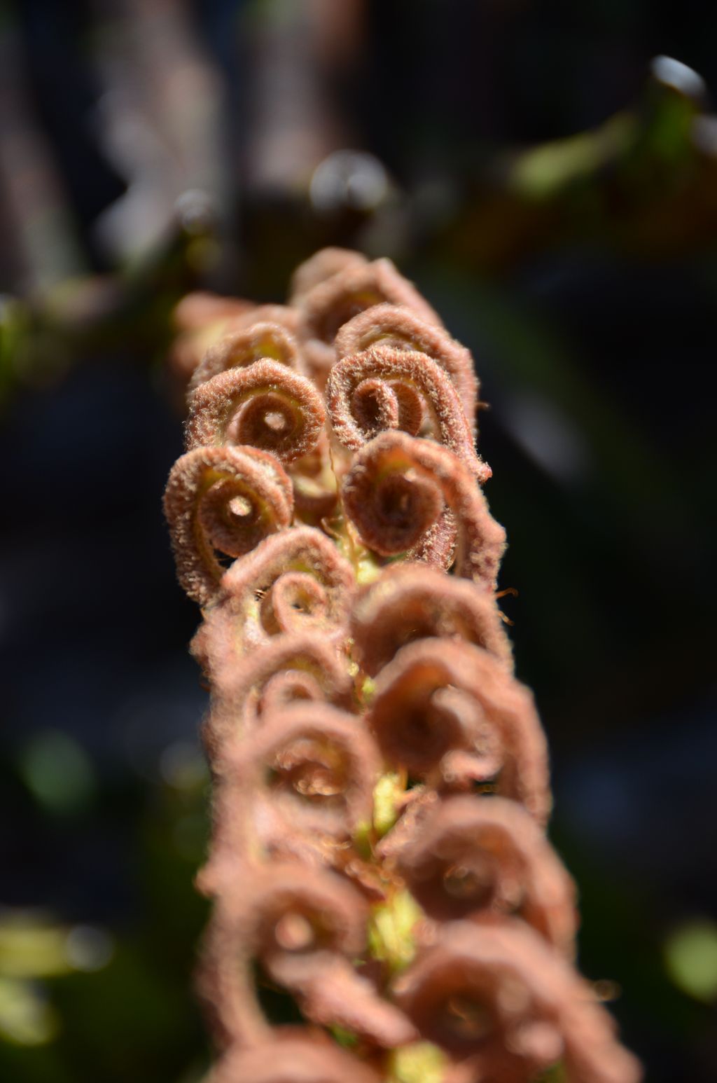 DSC_3369.JPG
