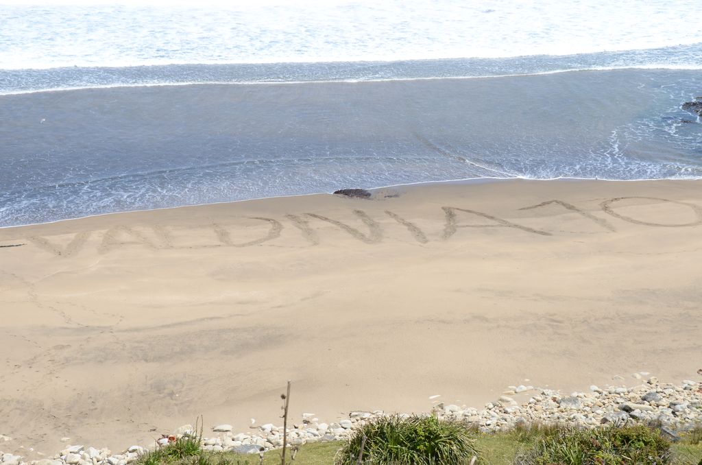 DSC_3398.JPG