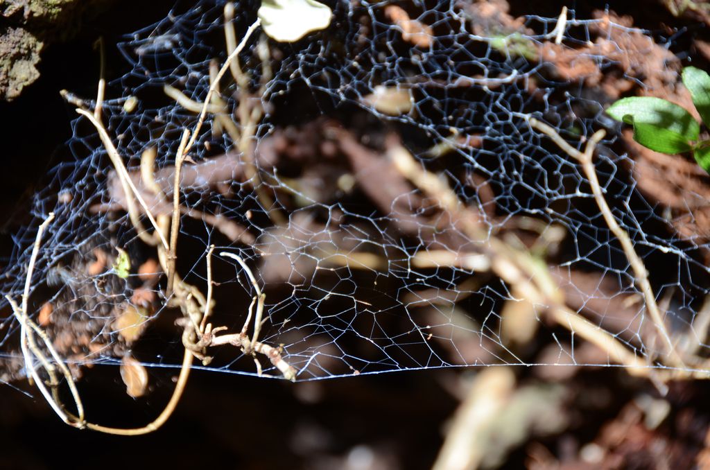 DSC_3460.JPG