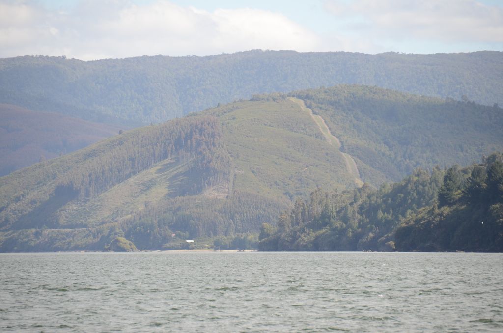 DSC_3539.JPG