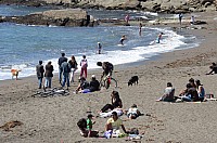 DSC_3123.JPG DSC_3123.JPG