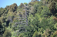 DSC_3129.JPG DSC_3129.JPG
