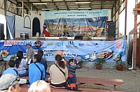 DSC_3132.JPG DSC_3132.JPG