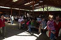 DSC_3133.JPG DSC_3133.JPG