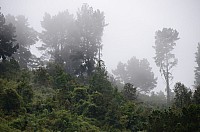 DSC_3169.JPG DSC_3169.JPG