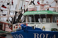 DSC_3174.JPG DSC_3174.JPG