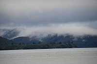 DSC_3177.JPG DSC_3177.JPG