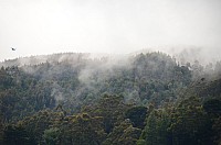 DSC_3184.JPG DSC_3184.JPG