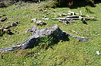 DSC_3280.JPG DSC_3280.JPG