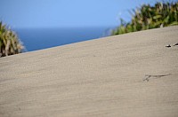 DSC_3282.JPG DSC_3282.JPG