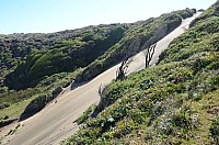 DSC_3293.JPG DSC_3293.JPG