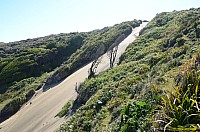 DSC_3295.JPG DSC_3295.JPG