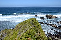 DSC_3297.JPG DSC_3297.JPG