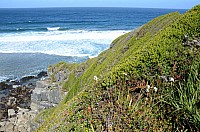 DSC_3303.JPG DSC_3303.JPG