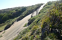 DSC_3307.JPG DSC_3307.JPG