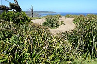 DSC_3321.JPG DSC_3321.JPG