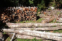 DSC_3328.JPG DSC_3328.JPG