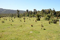 DSC_3330.JPG DSC_3330.JPG