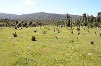 DSC_3331.JPG DSC_3331.JPG
