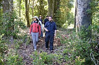 DSC_3352.JPG DSC_3352.JPG