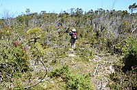 DSC_3353.JPG DSC_3353.JPG