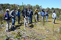 DSC_3355.JPG DSC_3355.JPG