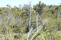 DSC_3360.JPG DSC_3360.JPG