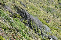 DSC_3376.JPG DSC_3376.JPG