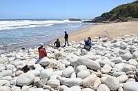 DSC_3391.JPG DSC_3391.JPG