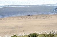 DSC_3398.JPG DSC_3398.JPG