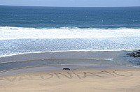 DSC_3399.JPG DSC_3399.JPG