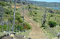 DSC_3405.JPG DSC_3405.JPG
