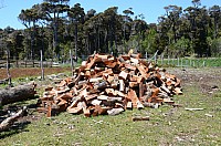 DSC_3406.JPG DSC_3406.JPG