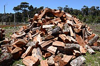 DSC_3407.JPG DSC_3407.JPG