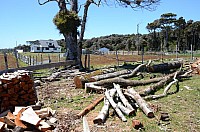 DSC_3415.JPG DSC_3415.JPG