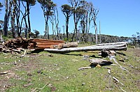 DSC_3419.JPG DSC_3419.JPG