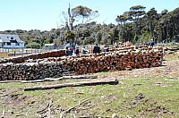 DSC_3421.JPG DSC_3421.JPG