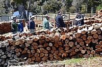 DSC_3422.JPG DSC_3422.JPG