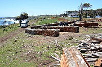 DSC_3425.JPG DSC_3425.JPG