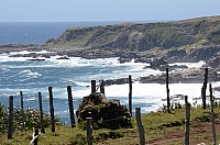DSC_3433.JPG DSC_3433.JPG